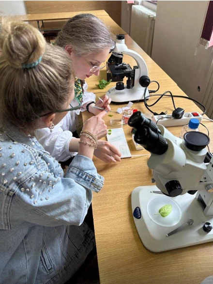 ERASMUS PERSONEL HAREKETLİLİĞİ